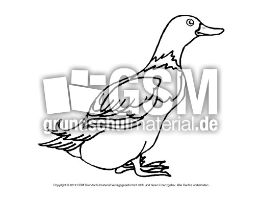 Ausmalbilder-Stockente 14.pdf